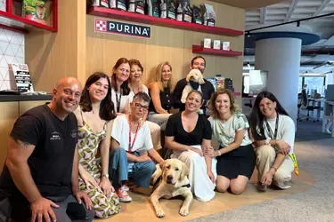Η ομάδα της Purina στο γραφείο μαζί με 2 σκυλάκια