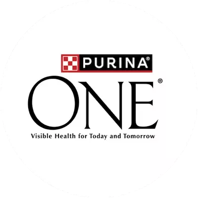 One Logo
