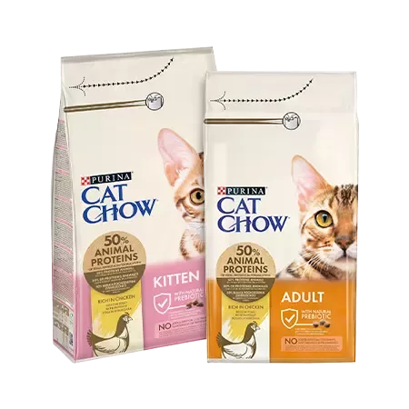 cat chow