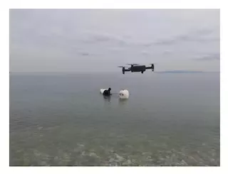 we sea more