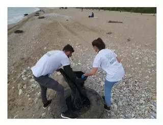 we sea more 4